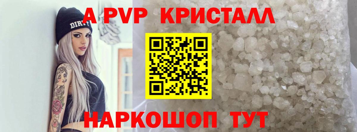 Альфа ПВП СК КРИС Мценск