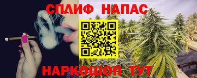 ешки Гай