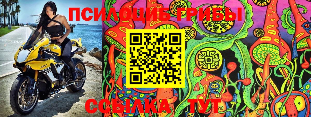 Галлюциногенные грибы Psilocybine cubensis  Вход с VPN  Галлюциногенные грибы мицелий  Мценск 
